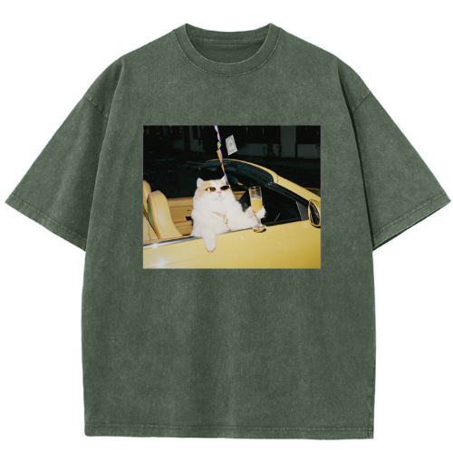 Cool Convertible Cat Washed T-shirt - Image 3