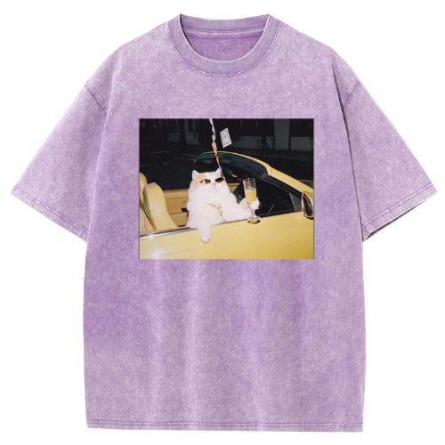 Cool Convertible Cat Washed T-shirt - Image 5