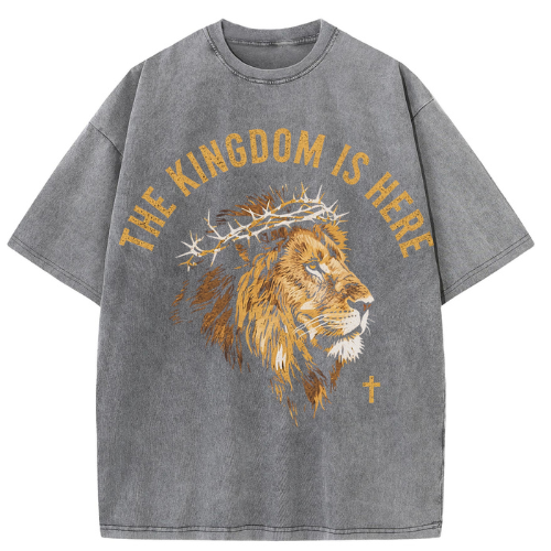 Kingdom Royal Lion Washed T-Shirt - Image 2